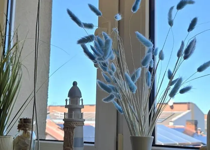 Goscinne U Aleksandry 3*